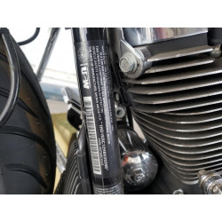 2017 HARLEY-DAVIDSON FL