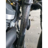 2020 HARLEY-DAVIDSON XL883 N 1HD4LE217LB422799 60343864