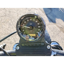 2022 HARLEY-DAVIDSON XL883 N 1HD4LE213NB410569 67112464