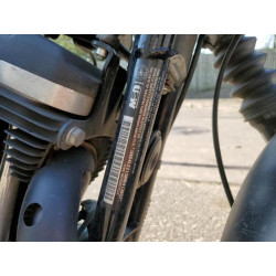 2021 HARLEY-DAVIDSON XL883 N 1HD4LE213MB413857 67147104