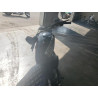 2022 HARLEY-DAVIDSON XL883 N 1HD4LE214NB405607 68520494