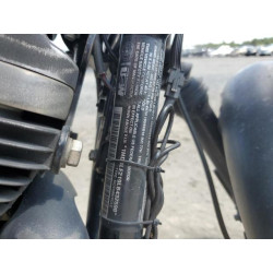 2020 HARLEY-DAVIDSON XL883 N 1HD4LE219LB432590 68129494