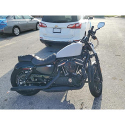 2020 HARLEY-DAVIDSON XL883 N 1HD4LE213LB409435 68728134