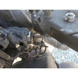 2020 HARLEY-DAVIDSON XL883 N 1HD4LE225LB439075 62328524