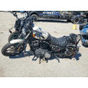 2022 HARLEY-DAVIDSON XL883 N 1HD4LE213NB407798 60730204