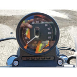 2022 HARLEY-DAVIDSON XL883 N 1HD4LE215NB406670 59871384