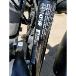 2021 HARLEY-DAVIDSON XL883 N 1HD4LE219MB404029 68936344