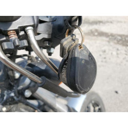 2020 HARLEY-DAVIDSON XL883 N 1HD4LE21XLB420724 68455924