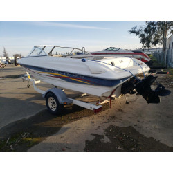 2021 BAYL ALL MODELS