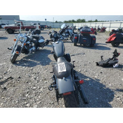 2022 HARLEY-DAVIDSON XL883 N 1HD4LE214NB407034 63045694