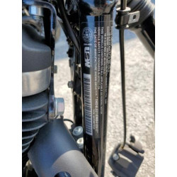 2021 HARLEY-DAVIDSON XL883 N 1HD4LE210MB412617 65413194