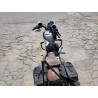 2022 HARLEY-DAVIDSON XL883 N 1HD4LE218NB404900 69870394