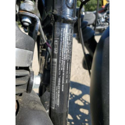 2020 HARLEY-DAVIDSON XL883 N 1HD4LE219LB416034 70008454