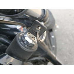 2020 HARLEY-DAVIDSON XL883 N 1HD4LE223LB424574 70617424