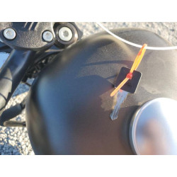 2021 HARLEY-DAVIDSON XL883 N 1HD4LE21XMB404041 76342884