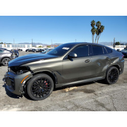 2023 BMW X6