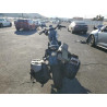 2020 HARLEY-DAVIDSON XL883 N 1HD4LE225LB403080 74495424