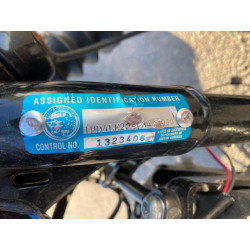 2020 HARLEY-DAVIDSON XL883 N 1HD4LE225LB403080 74495424