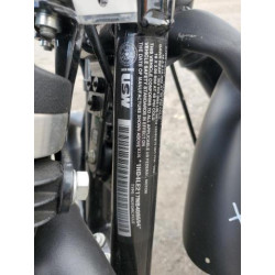 2022 HARLEY-DAVIDSON XL883 N 1HD4LE217NB408694 78874864