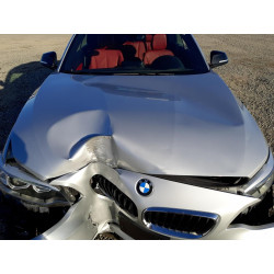 2015 BMW 2 SERIES