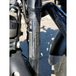 2021 HARLEY-DAVIDSON XL883 N 1HD4LE215MB415013 73019244