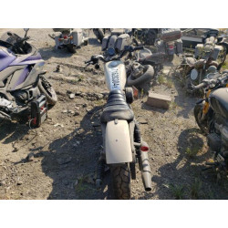 2022 HARLEY-DAVIDSON XL883 N 1HD4LE213NB404481 71620304