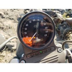 2022 HARLEY-DAVIDSON XL883 N 1HD4LE213NB404481 71620304