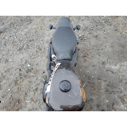 2020 HARLEY-DAVIDSON XL883 N 1HD4LE216LB429484 78169854