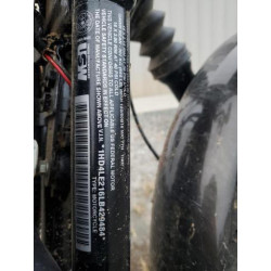 2020 HARLEY-DAVIDSON XL883 N 1HD4LE216LB429484 78169854