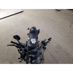 2021 HARLEY-DAVIDSON XL883 N 1HD4LE213MB411932 66726684