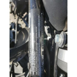 2022 HARLEY-DAVIDSON XL883 N 1HD4LE212NB404195 79679804