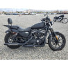 2020 HARLEY-DAVIDSON XL883 N 1HD4LE224LB414720 84251264