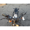 2022 HARLEY-DAVIDSON XL883 N 1HD4LE210NB415972 81258424