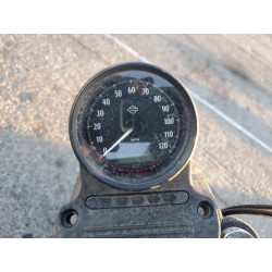 2022 HARLEY-DAVIDSON XL883 N 1HD4LE210NB415972 81258424