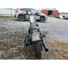 2020 HARLEY-DAVIDSON XL883 N 1HD4LE217LB406358 80010274