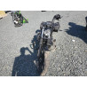 2021 HARLEY-DAVIDSON XL883 N 1HD4LE219MB416083 81083684