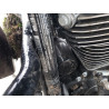 2021 HARLEY-DAVIDSON FL