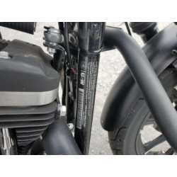 2021 HARLEY-DAVIDSON XL883 N 1HD4LE213MB417598 81793494