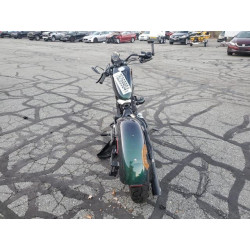 2021 HARLEY-DAVIDSON XL883 N 1HD4LE215MB412810 76269904