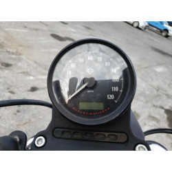 2021 HARLEY-DAVIDSON XL883 N 1HD4LE219MB419792 77352244