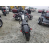 2020 HARLEY-DAVIDSON XL883 N 1HD4LE215LB429167 86220144
