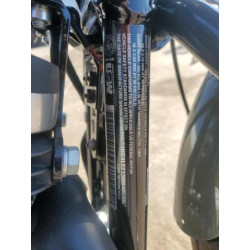 2021 HARLEY-DAVIDSON XL883 N 1HD4LE213MB405306 76373714