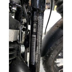 2022 HARLEY-DAVIDSON XL883 N 1HD4LE211NB406827 72044634