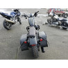 2020 HARLEY-DAVIDSON XL883 N 1HD4LE215LB418718 84265514
