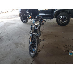 2022 HARLEY-DAVIDSON XL883 N 1HD4LE214NB413383 85348124