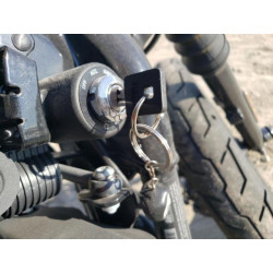 2020 HARLEY-DAVIDSON XL883 N 1HD4LE21XLB438611 76039444