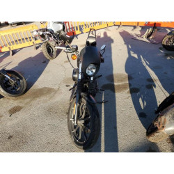 2021 HARLEY-DAVIDSON XL883 N 1HD4LE227MB416009 43424445