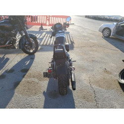 2021 HARLEY-DAVIDSON XL883 N 1HD4LE227MB416009 43424445