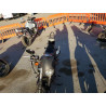 2021 HARLEY-DAVIDSON XL883 N 1HD4LE227MB416009 43424445