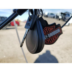 2022 HARLEY-DAVIDSON XL883 N 1HD4LE220NB406293 45553315